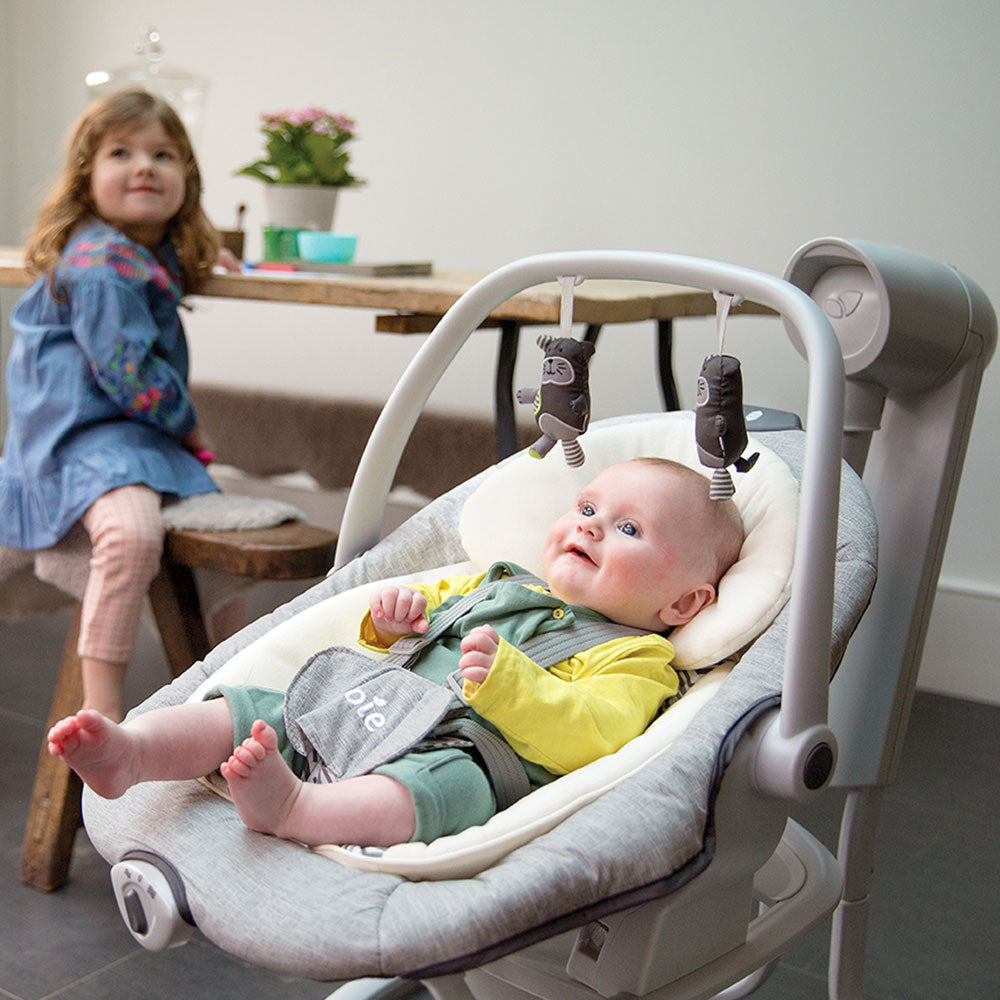 Baby Rocker Buying Guide by Joie Toys4All.in