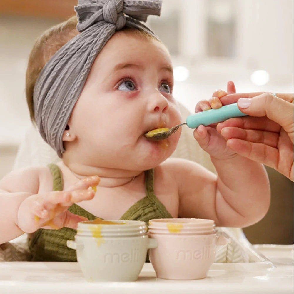 Melii Spork On the Go With Case - 12 to 48 Months
