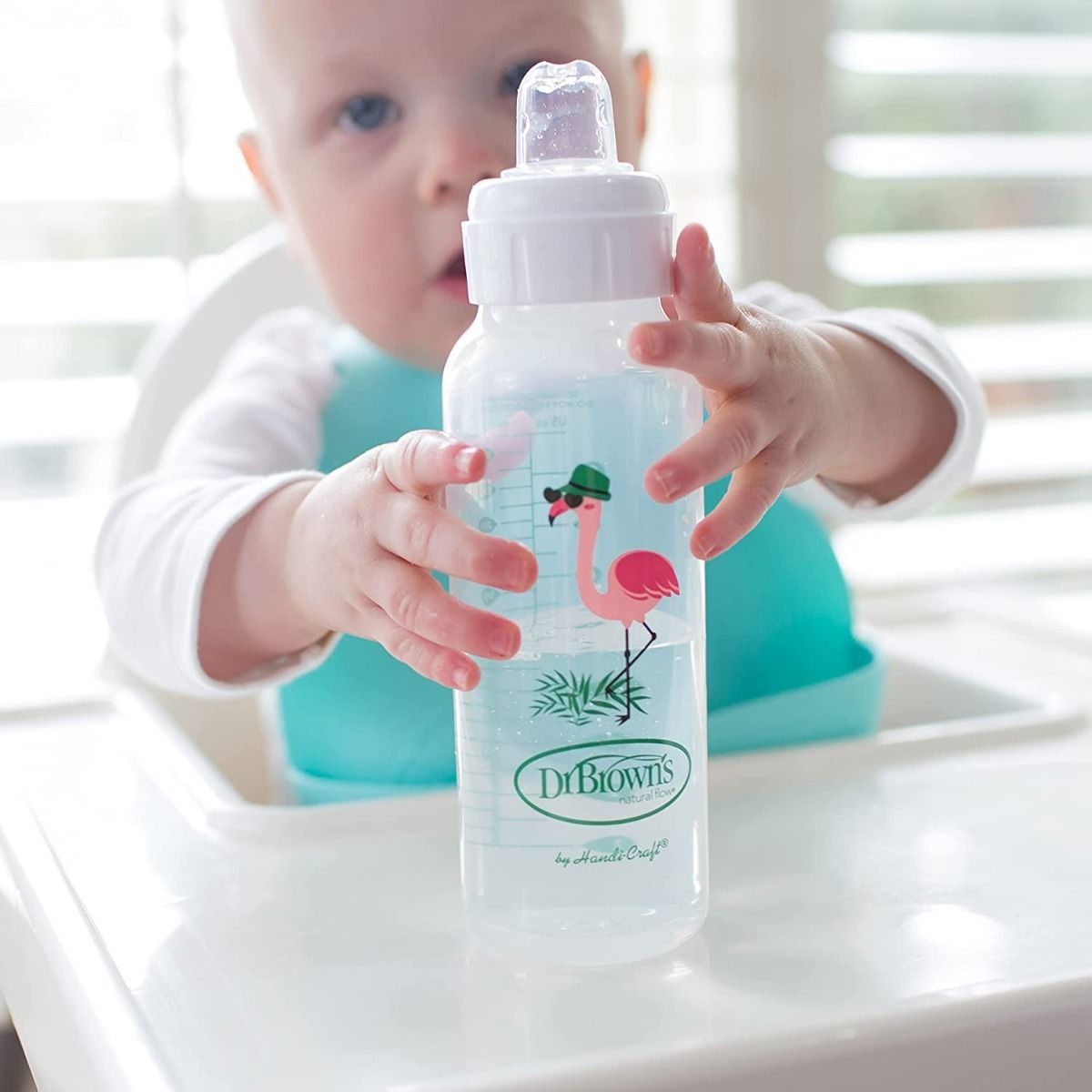 Dr.Brown&#39;s Narrow Sippy Spout Bottle (6 to 24 Months) - Open Box