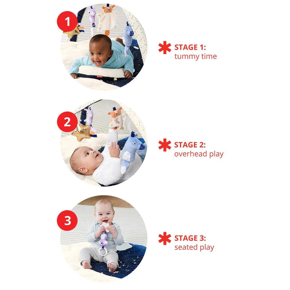 Skip Hop Celestial Dreams Activity Gym (Birth to 24 Months)