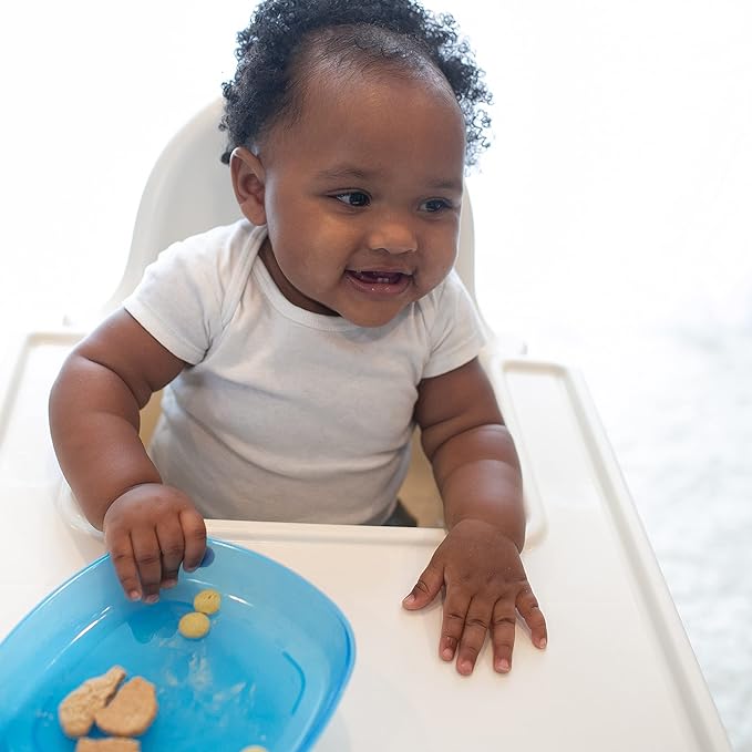 Dr. Brown&#39;s Divided Plates 3-Pack (4 to 24 Months) Multicolor - Open Box